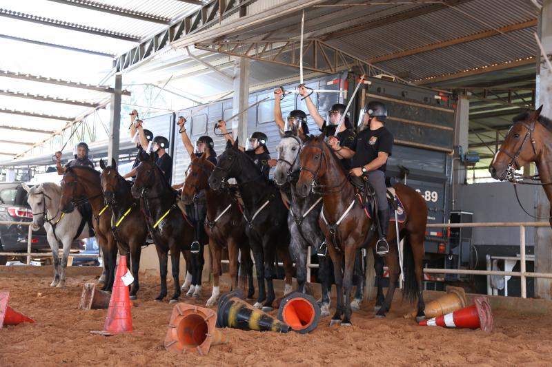 Isadora Crivelli - Cavalaria conta com 15 policiais que passaram pelo curso de formação de tropa montada