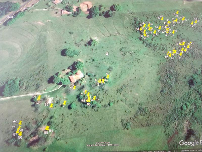 Polícia Militar Ambiental - Polícia constatou supressão de 67 árvores