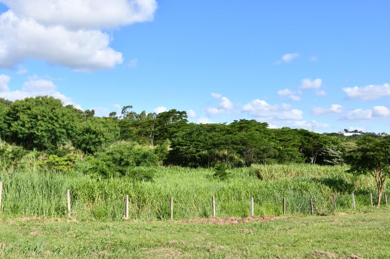 Secom - Parque Municipal dos Ipês fica em uma área de mais de 14 hectares, na SP-270