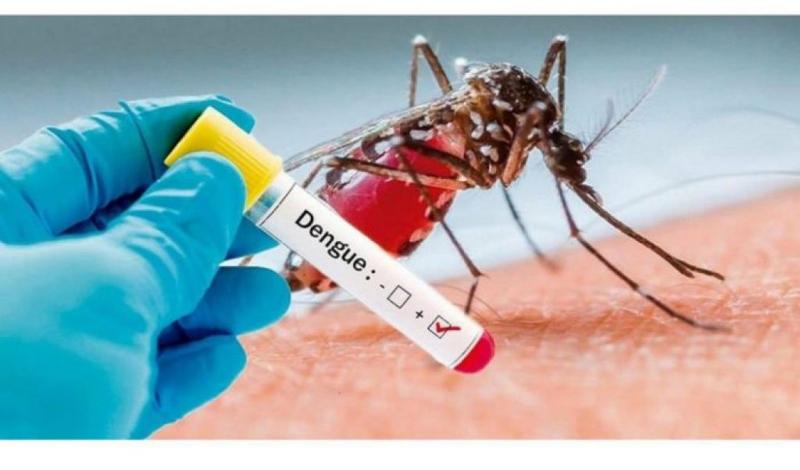 Divulgação -  Zona leste concentra o maior número de casos de dengue