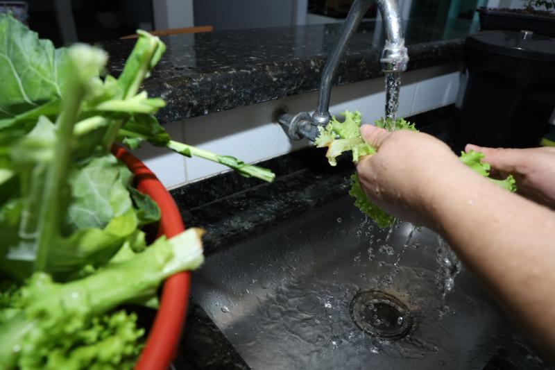 Isadora Crivelli: Verduras, frutas e legumes devem ser higienizados sempre