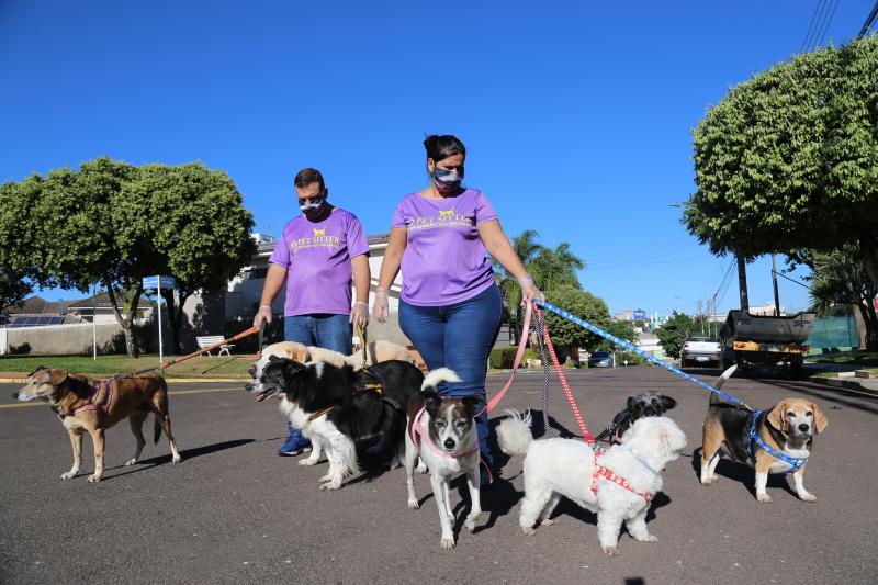 Weverson Nascimento - Procura por empresa especializada em passeios com pets cresceu 60%