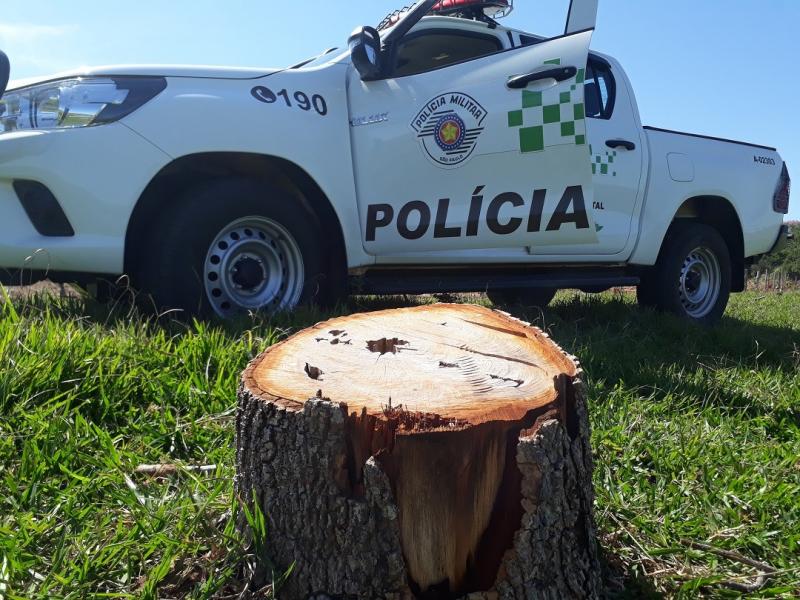 Polícia Militar Ambiental - Fiscalização ocorreu em dois imóveis rurais do mesmo indivíduo