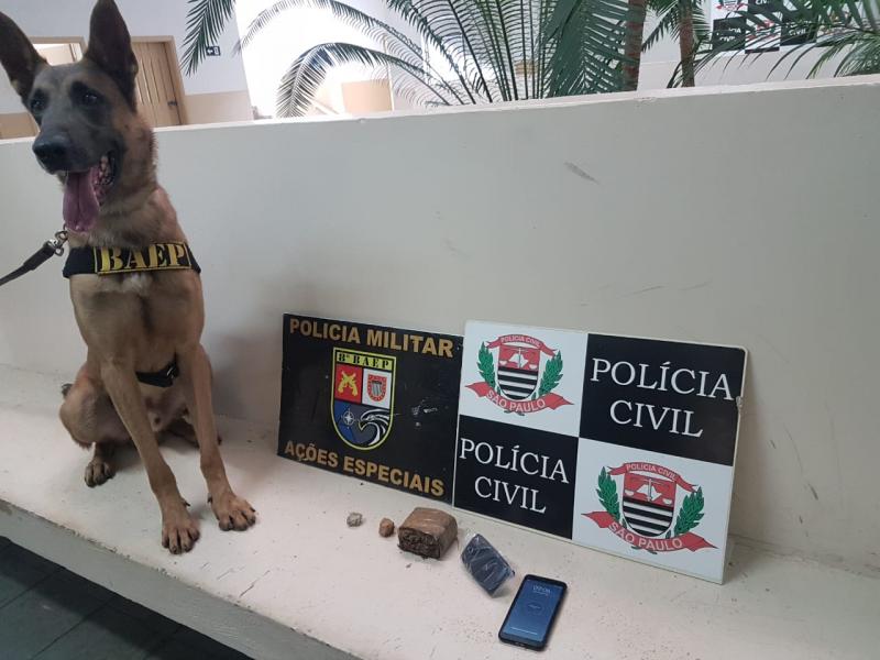 Polícia Civil - Cão de faro Thor encontrou a droga durante varredura em área de mata