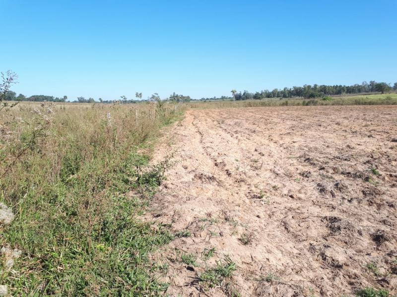 Polícia Militar Ambiental - Áreas foram danificadas com uso de maquinário agrícola