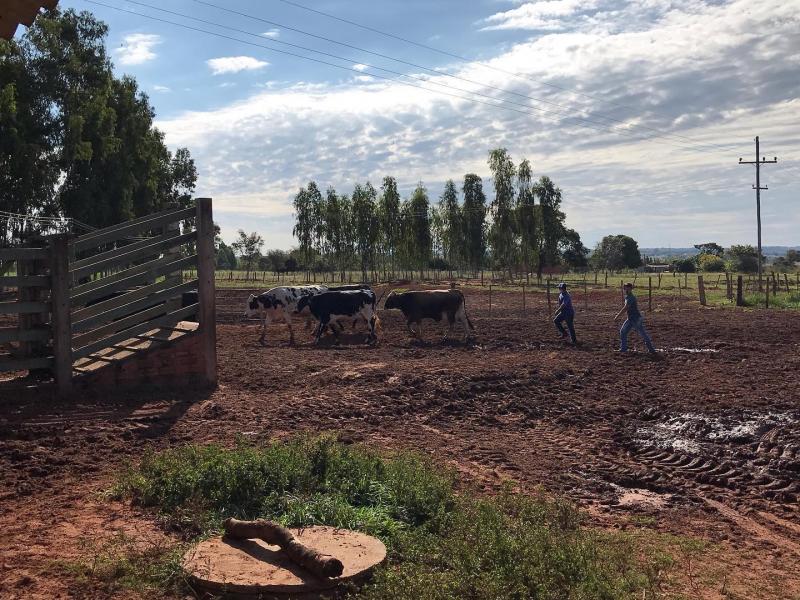 Foto: Divulgação/Fundação Itesp - Cultivando Negócios está dentro das atividades de Assistência Técnica e Extensão Rural