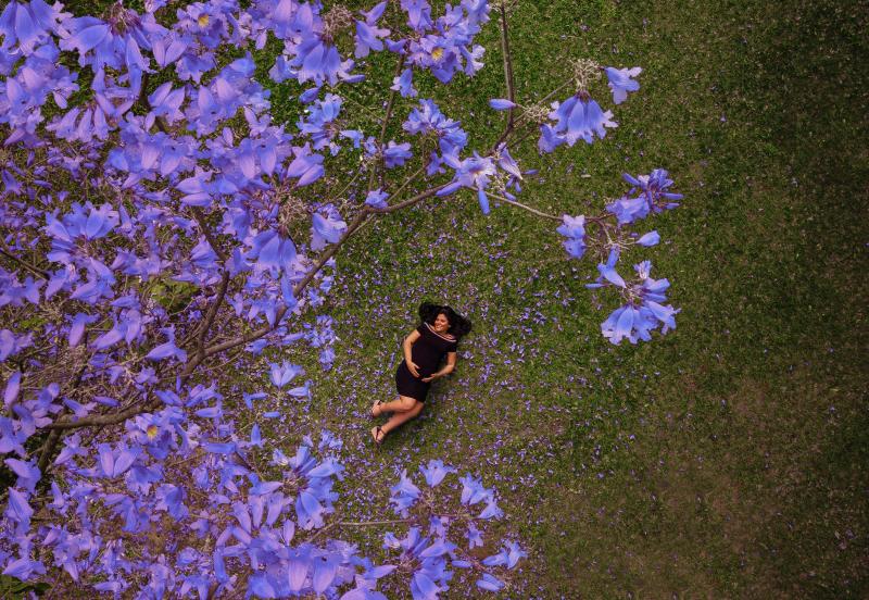  Carlos Rocha - Bela imagem mostra a gestante sob um ipê florido, através de um drone 