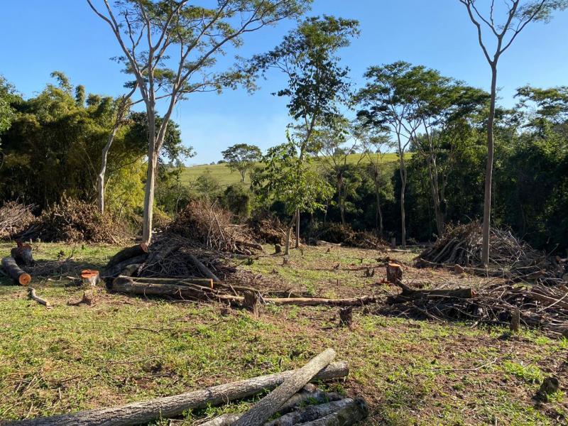  Foto: Polícia Militar Ambiental – Dentre as infrações, houve a supressão de 15 árvores e destruição de área de APP
