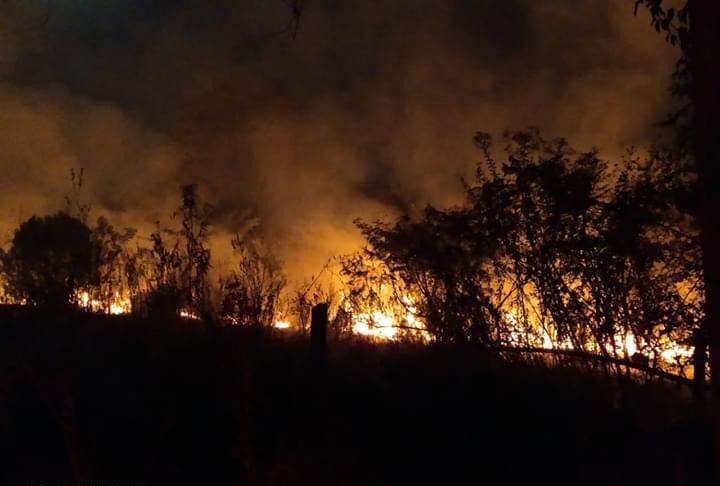 Defesa Civil - Foram duas horas de trabalho para combater o fogo