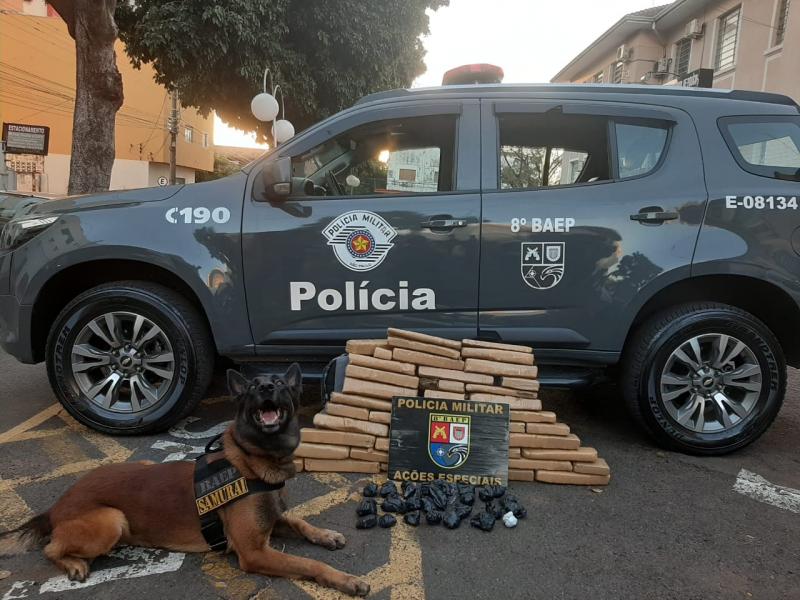 Polícia Militar - Denúncias levaram os policiais ao endereço do acusado