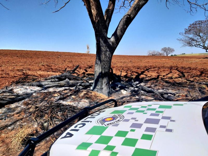 Polícia Militar Ambiental - Área degradada está sendo preparada para o cultivo de mandioca