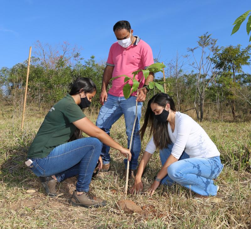 Weverson Nascimento - Local recebe mudas de diversas espécies nativas da região