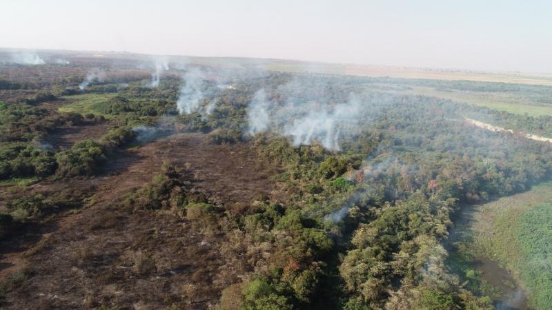 Fundação Florestal - No Parque do Aguapeí, trabalhos entraram para o quinta-dia