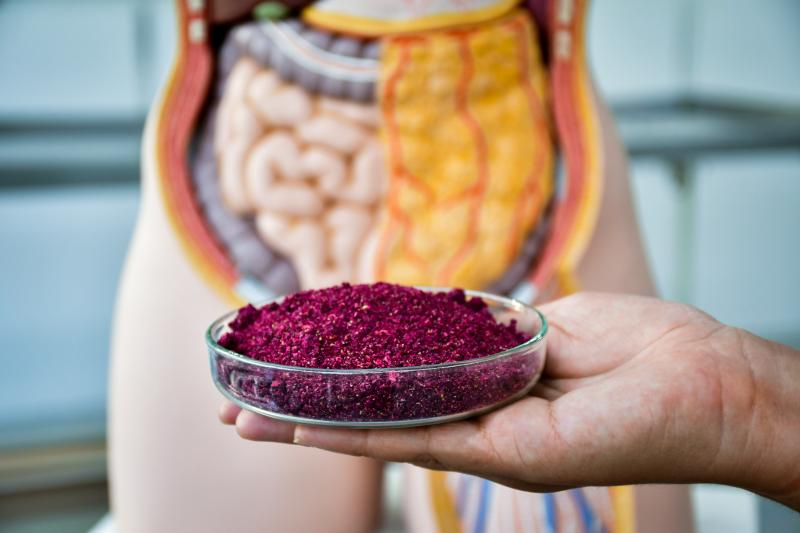 Foto: Gabriela Oliveira - Inclusão da farinha da pitaya rosa na dieta ajuda na proteção da mucosa intestinal e na redução dos sintomas da colite ulcerativa