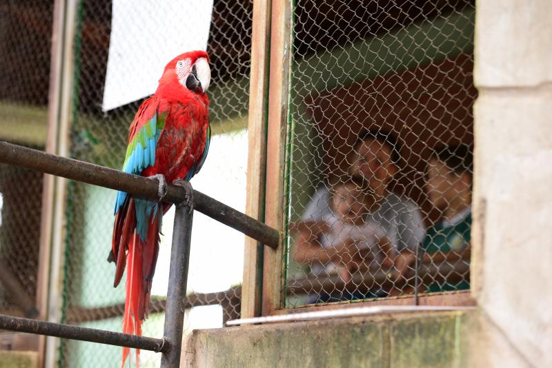 Arquivo - Do dia 1° ao dia 16 de outubro, funcionamento será somente de quarta a sexta, das 13h30 às 16h