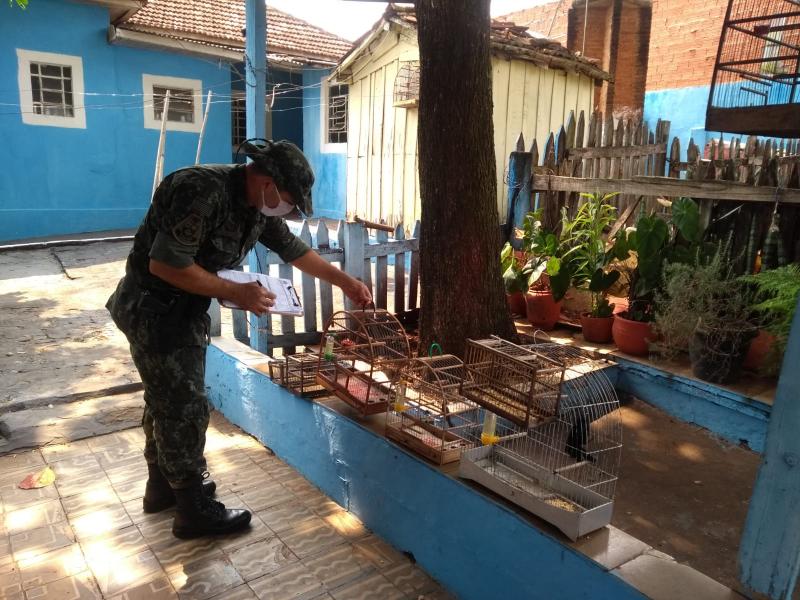 Polícia Militar Ambiental - Imóvel foi alvo de denúncia aos policiais 