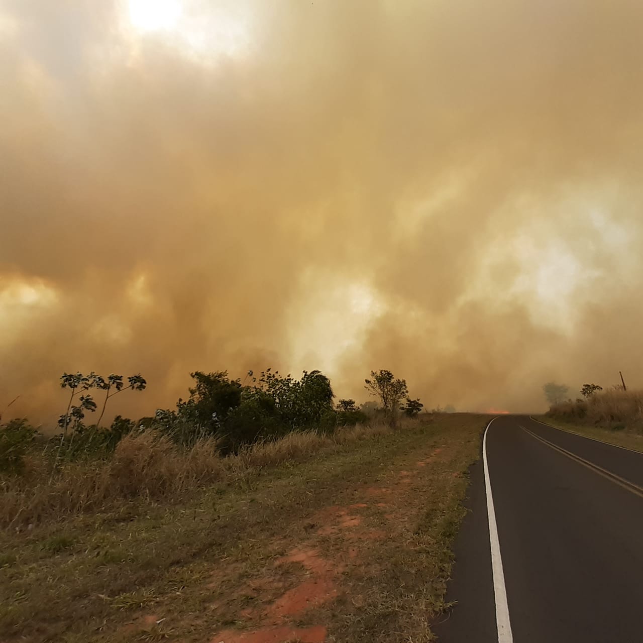 Polícia Militar Rodoviária - Incêndio às margens da rodovia foi registrado na tarde de hoje