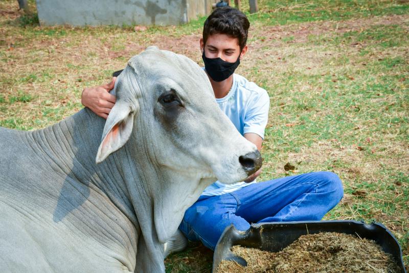 Gabriela Oliveira - Júnior conta que aprendeu desde cedo a gostar dos animais