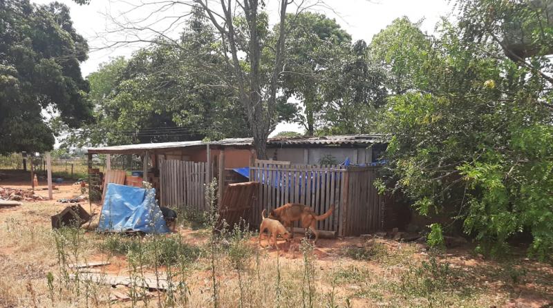 Cedida - Chuva causou inúmeros estragos no Abrigo Rancho Bicho Feliz, em Martinópolis