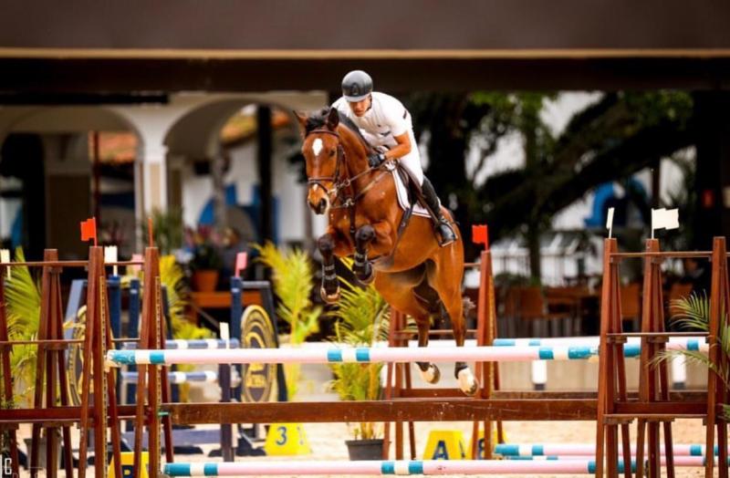 Criação do Haras Panema, de Heloisa do Valle, ficou em 8º lugar, entre 48 conjuntos, montado por Gabriel de Queiroz Gouveia