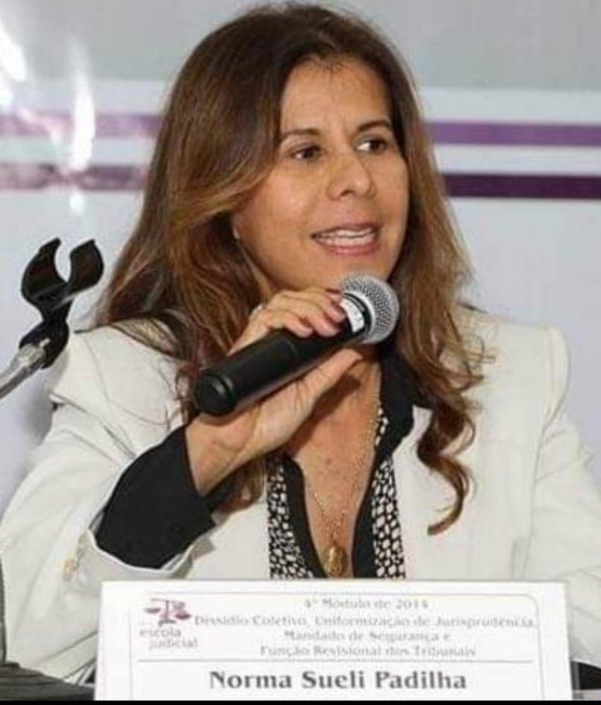 Norma Padilha é autora do livro “Fundamentos Constitucionais do Direito Ambiental”, vencedor do Prêmio Jabuti