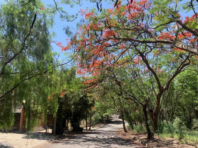 Rua do Parque Higienópolis, um dos bons exemplos de Prudente