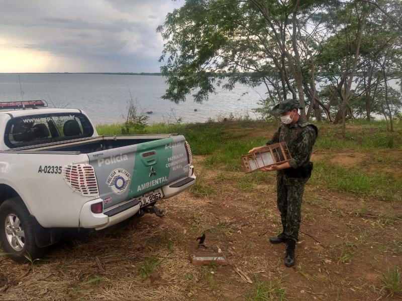Foto: Polícia Militar Ambiental – Animais foram soltos às margens do Rio Paraná 