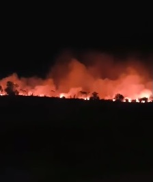 Incêndio atingiu área de vegetação na noite de ontem
