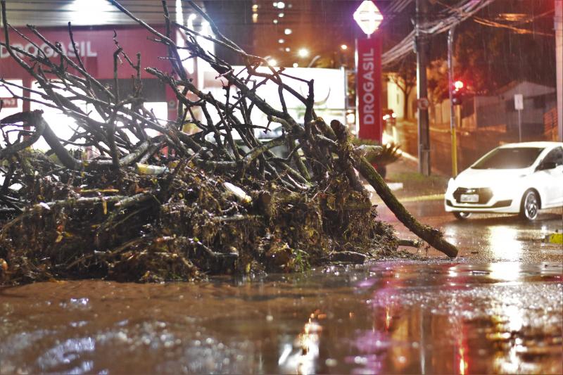 Árvores caíram e carros foram arrastados pela força da chuva