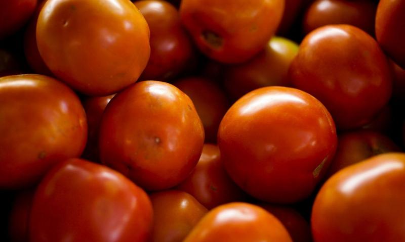 Preço do quilo do tomate apresentou crescimento de 36,58%