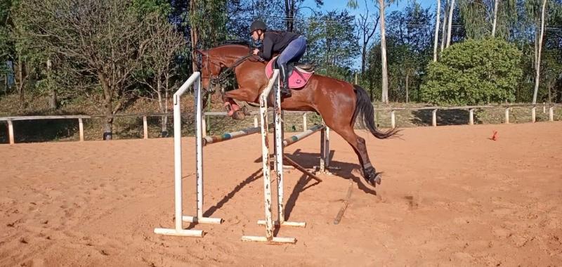 Turma apaixonada por cavalos procura a Sociedade Hípica de Presidente Prudente, que tem ampliado vagas e horários para os cursos