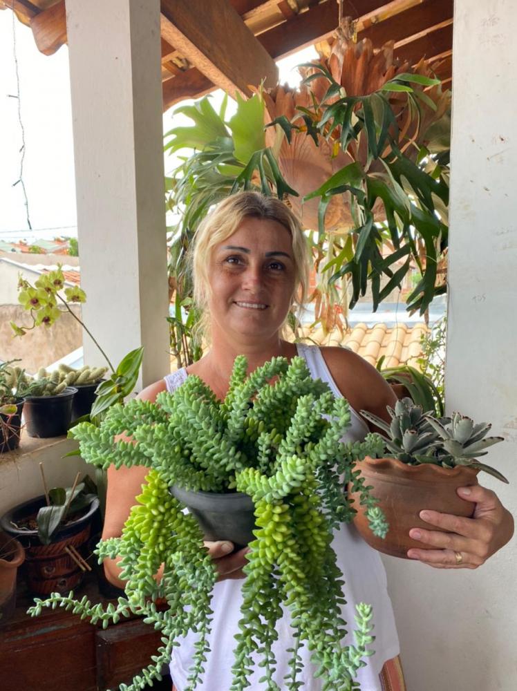 Foto: Cedida - Andrea aproveita todas as manhãs para conversar com as suas suculentas e demais plantas