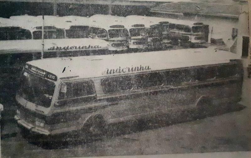 Novos ônibus