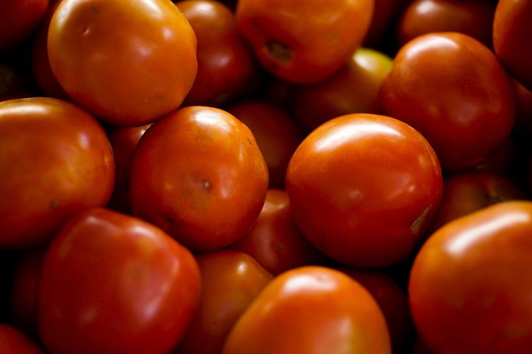 Preço do tomate apresentou baixa de 18,01%, segundo levantamento