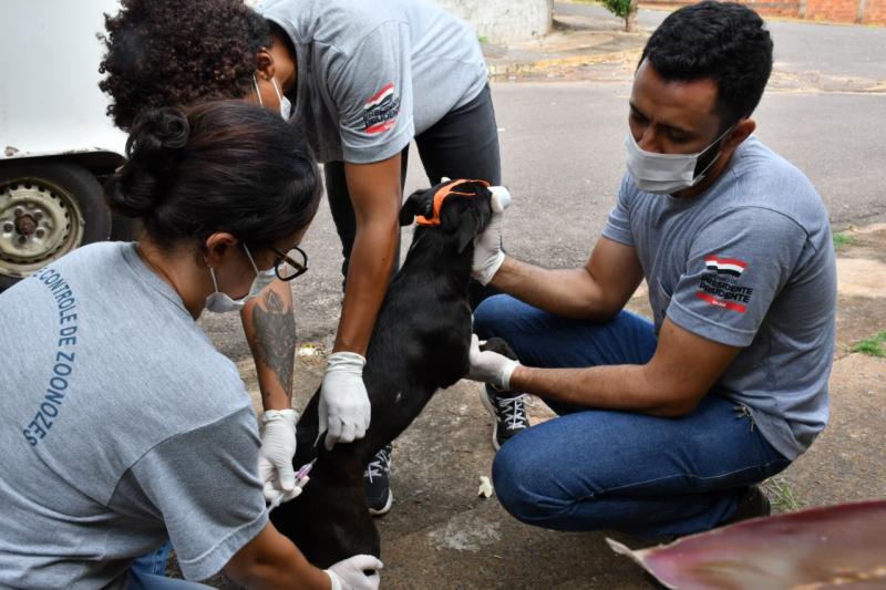 Ação também conta com coleta de sangue, chipagem e vacinação