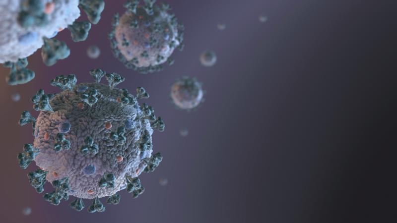 Região soma 1.281 óbitos em decorrência da doença desde o início da pandemia