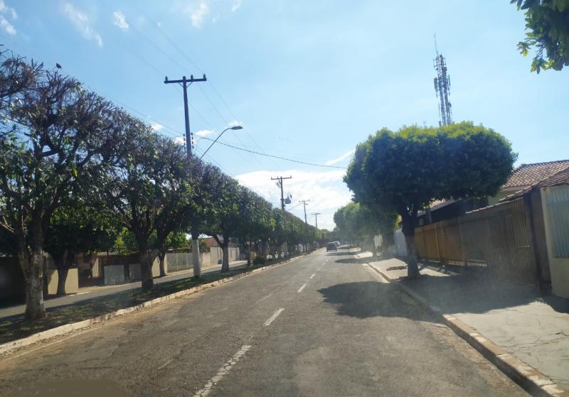 Canteiros centrais da avenida podados