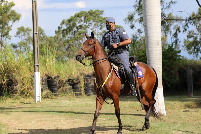 Militares passam por constantes treinamentos