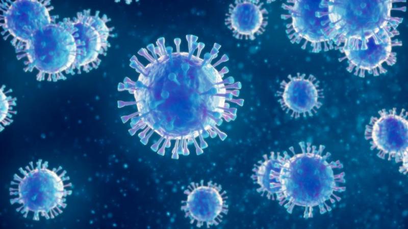 Região soma, desde o início da pandemia, 1.989 óbitos em decorrência do novo coronavírus