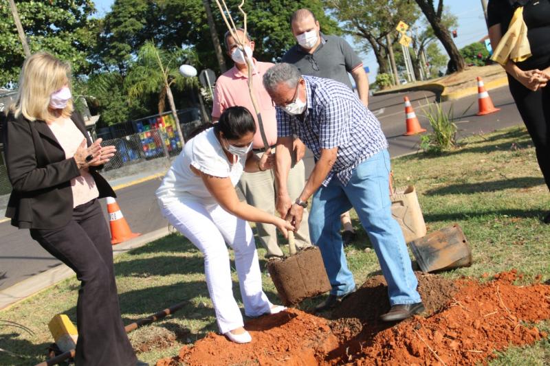 Plantio ocorreu na rotatória de cruzamento entre as avenidas Ana Jacinta e Élson Neres da Silva