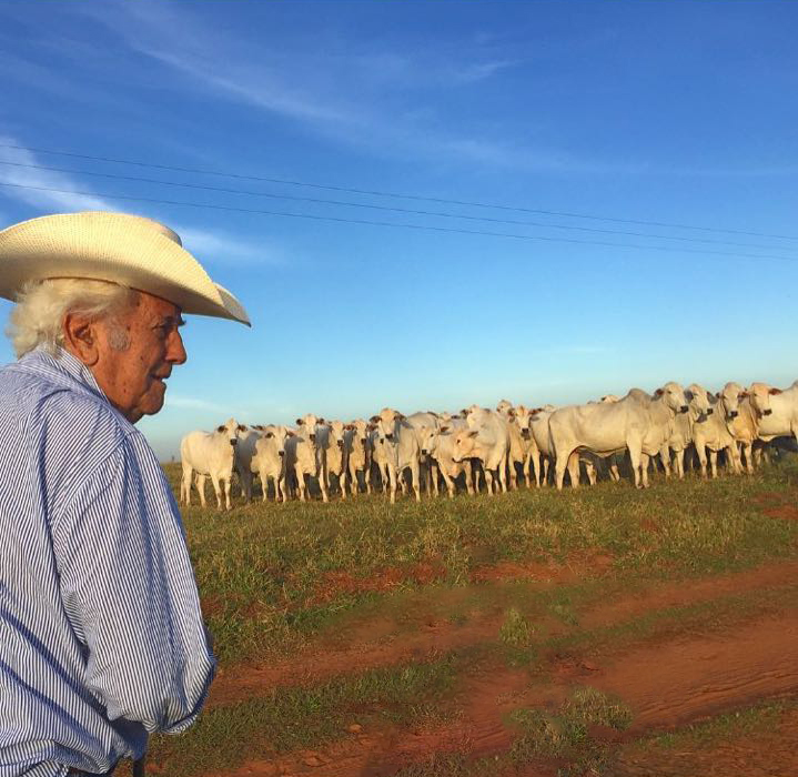 Antonio Renato Prata, fundador da Prata Agropecuária, foi um dos pioneiros na criação das raças Brahman e Nelore Mocho no Brasil