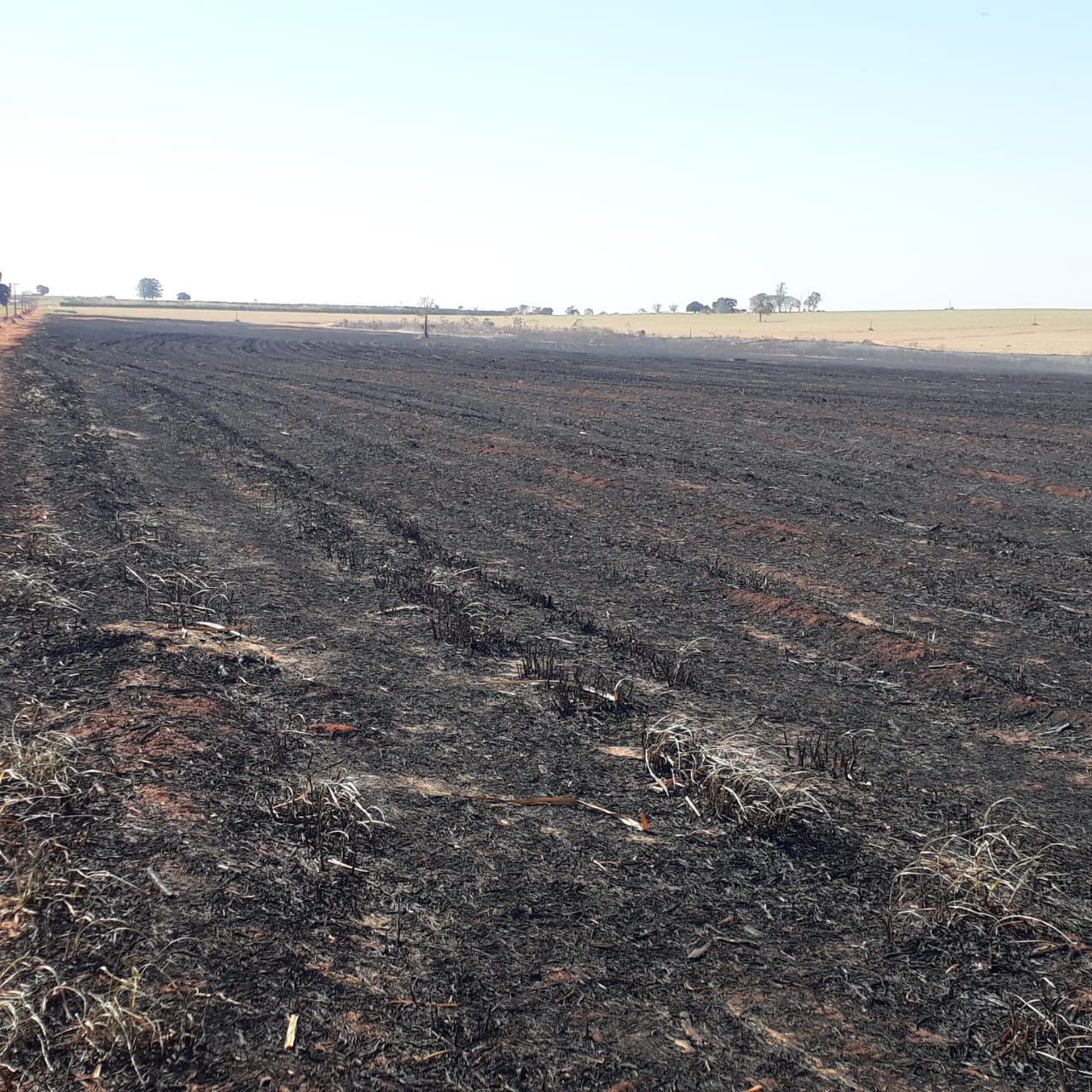 Focos de incêndio atingiram áreas agropastoris e de preservação permanente