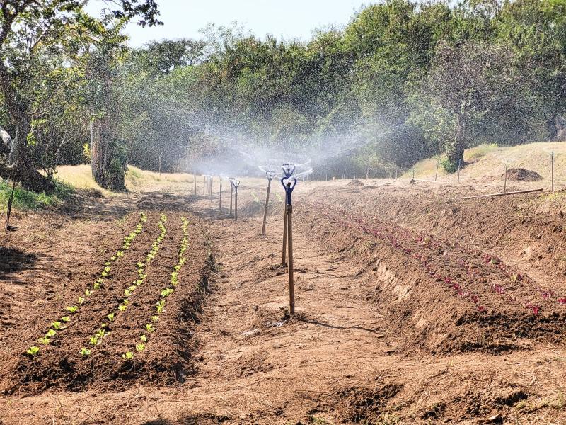 Horta Municipal foi completamente revitalizada pela Semea