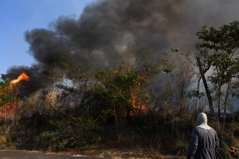Combate às chamas conta com efetivos da Prefeitura e do Corpo de Bombeiros