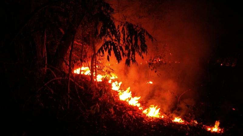 Incêndios de grandes proporções atingiram áreas de vegetação de Prudente