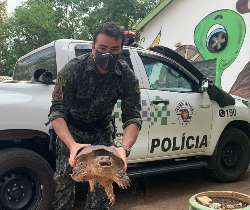 Animal chama a atenção pela força da sua mordida