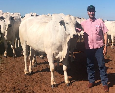 Ruy Terra Filho: “A força do agro na região vem crescendo e se diversificando”