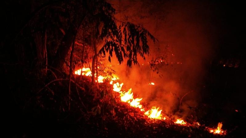 Ocorrências de queimadas aumentaram nos últimos três meses