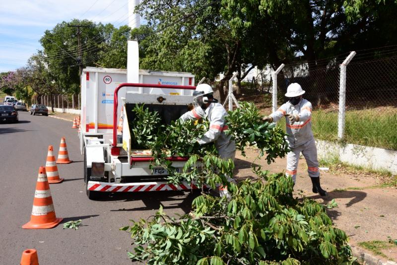 Galhos e folhas de árvores são triturados pela concessionária e encaminhados à Etec