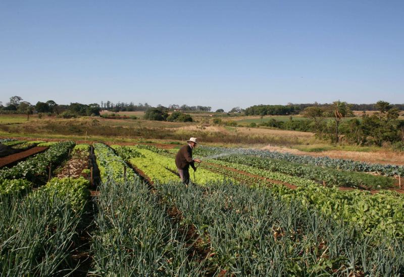 Melhores condições de trabalho para agricultores familiares foram discutidas em reunião da Alesp 